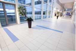 * Best-use-of-tile-public-sector.jpg