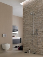 * Geberit-Onthelevel-Duofix-wetroom.jpg