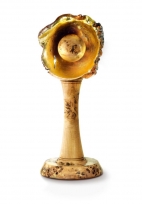 Rowden-school-trophy_142.jpg Rowden-school-trophy_142.jpg